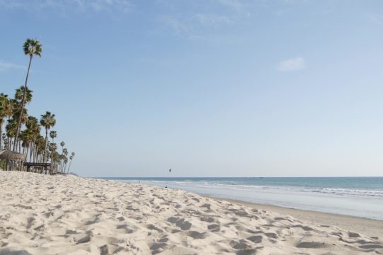 White sandy beach with flowing palm trees off the California coast of the Pacific Ocean (credit: Getty Images/iStockphoto)