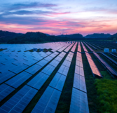 Aerial view of solar panels in a field at sunset (source: Getty)